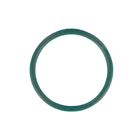 R274494 - JOINT TORIQUE DE VANNE FILTRE SAB TRITON / FILTRE DIATOMEE NAUTILUS (PENTAIR) - REMPLACE G-15-4494