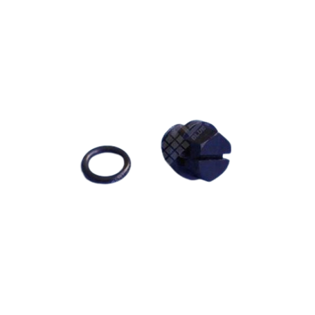 SPX1700FG - BOUCHON DE VIDANGE AV JOINT POMPE (MAX-FLO. SUPER PUMP/SPA - NM AP.91 (HAYWARD)