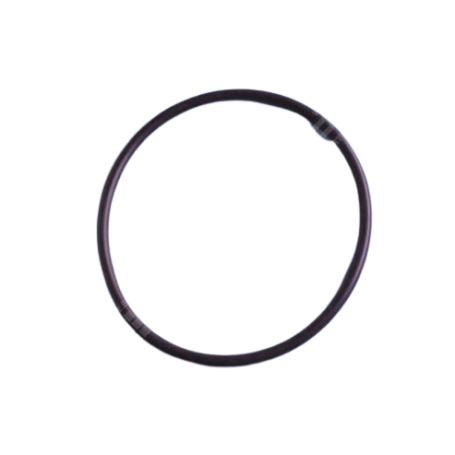 SPX2700Z4 - JOINT DE COUVERCLE Pompe MAX FLO II - (HAYWARD)