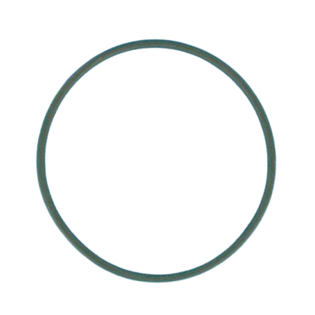 R281008 - "JOINT TORIQUE 123,2X5,8 MM DE VANNE 1\"1/2 TOP TAGELUS/AZUR 19\" ET 24\" (PENTAIR)"