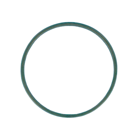 R350013 - JOINT DE COUVERCLE PPE CHALLENGER. PINNACLE. WHISPERFLOW (PENTAIR) - ORIGINE : UE