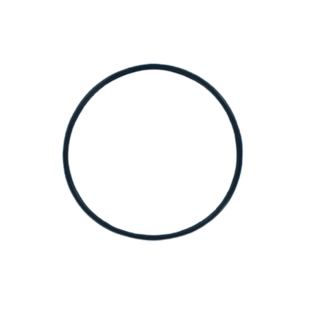 R071444 - JOINT DE DIFFUSEUR POMPE WHISPERFLOW (PENTAIR)