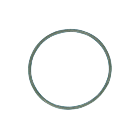 RU9229 - JOINT DE COUVERCLE PRÉFILTRE POMPE (142.3X6.69) 5JWP. 5P2R. S5P2R (STA-RITE)