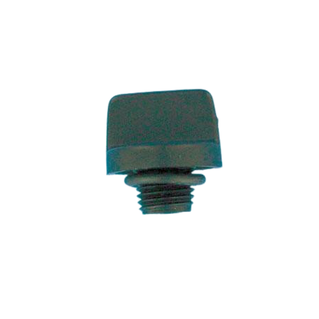 RU178920P - BOUCHON DE VIDANGE POMPE (5JWP/5P2R/S5P2R/5P4R/SW5P4R) AVEC JOINT  (STA-RITE)