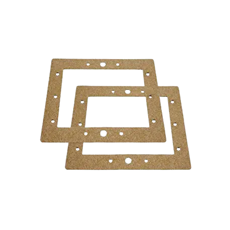 SPX1094GPAK2 - JOINT DE BRIDE SK SP1090 & 1094 X2 (HAYWARD)