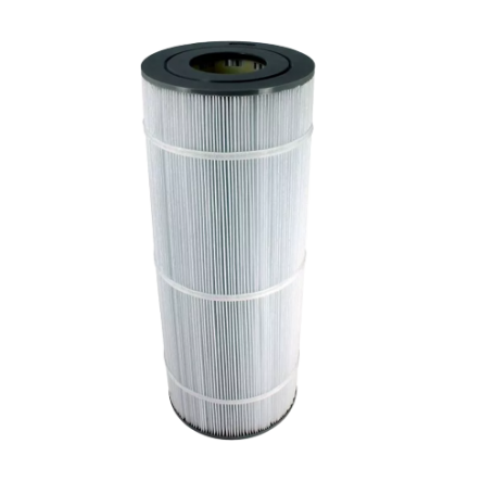 R0462201 - CARTOUCHE DE REMPLACEMENT CS100 (ZODIAC)