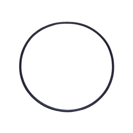 4405010373 - JOINT DE COUVERCLE DE POMPE MAXIM -D.192X5 (ASTRAL)