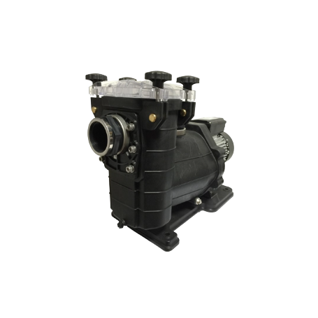 Pompe Vipool RENOVO 10 - 13 MONO 3/4 CV