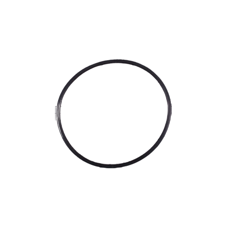 4405010063 - JOINT DE COUVERCLE DE PRÉFILTRE POMPE EUROPA - REMPLACE HD021005, 06054R0003, CE05010063