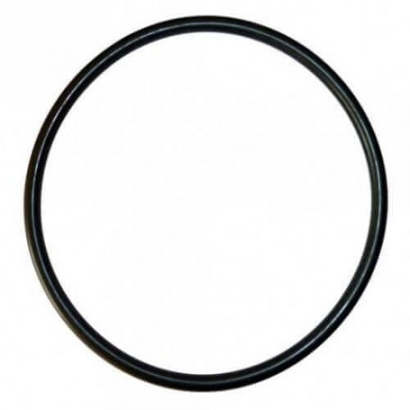 4404180201 - JOINT DE COUVERCLE FILTRE SAB MILLENIUM. CANTABRIC D.400 À D.750 (ASTRAL)