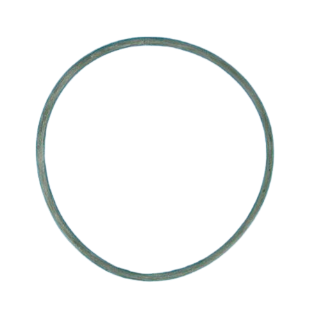 R39300600 - Joint de couvercle ULTRAFLOW (PENTAIR)