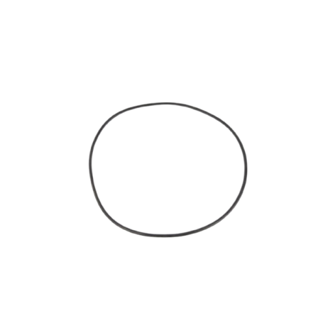 CXFHR1001 - Joint torique corps Swimclear mono (HAYWARD)