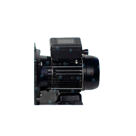 Moteur POMPE Pentair RP203 1.50 kW Tri - Compatible Ultraflow, Whisperflo, Superflo, Challenger