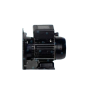 Moteur POMPE Pentair RP203 1.50 kW Tri - Compatible Ultraflow, Whisperflo, Superflo, Challenger