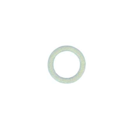 Joint Bouchon de Vidange (Azur, Kit Azur, Challenger, Pinnacle, Superflo) - PENTAIR