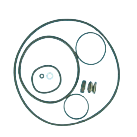 Kit Joints POMPE Challenger jusqu'à 1.1 kW - PENTAIR