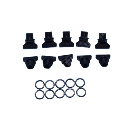 500100000000 - Bouchon de vidange 1/4" + joint (x10)