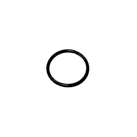 SPX4000Z1 - Joint de diffuseur pompe Tristar