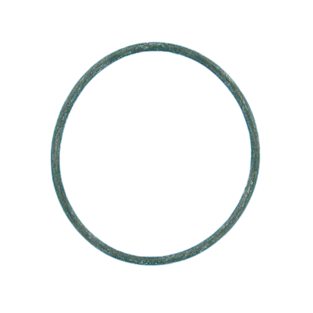 304 - Joint de couvercle préfiltre POMPE 145,4x6,69 Flipper NS/1S