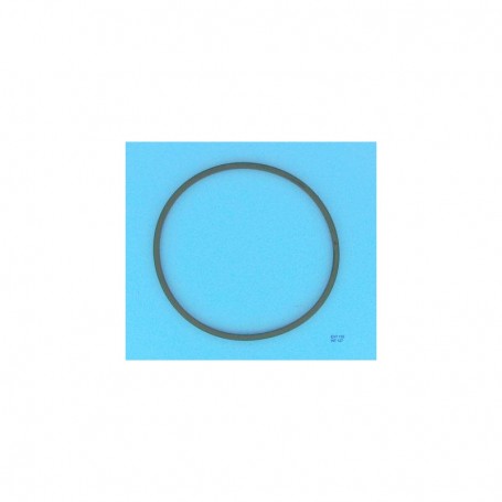 388 - JOINT DE COUVERCLE PRÉFILTRE POMPE SILEN AM (ESPA)