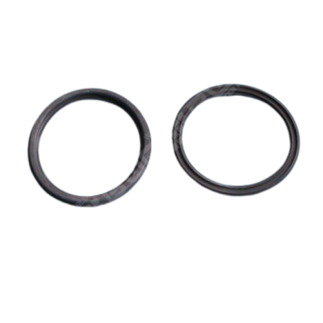 SPX3200UG - Joints de raccord union 75mm TriStar, Max Flo II (x2)