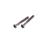 SPX3200Z8 - Vis de diffuseur (x2) POMPE TriStar