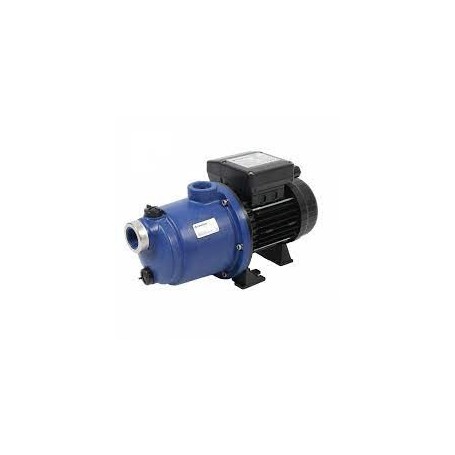 SURPRESSEUR BLUEFLO 1CV