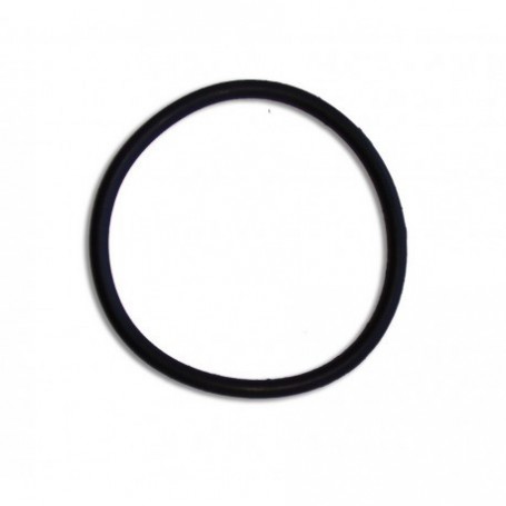 SPX8100S - JOINT TORIQUE DE PRÉFILTRE POMPE POWER-FLO II/ SII (HAYWARD)