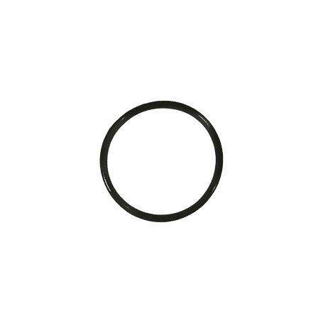 SPX1600R - JOINT DE DIFFUSEUR PPE (SUPER PUMP. MAX-FLO. SUPER II)) - (HAYWARD)