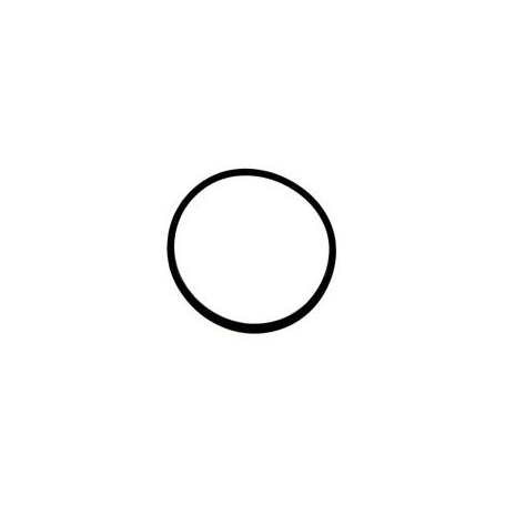 06054R0010 - JOINT DE COUVERCLE DE POMPE DISCOVERY, EUROPA NEW - HD021160 (IML)