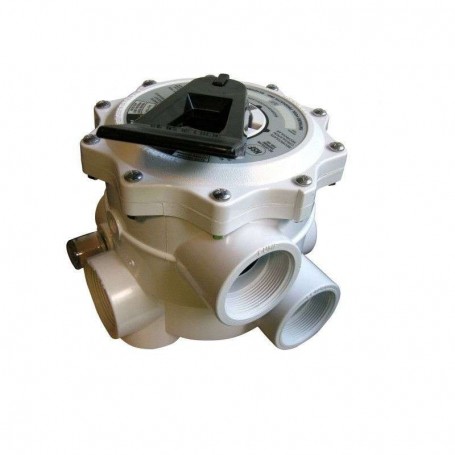 SP07122 VANNE 1'' 1/2  TOP VARIFLO A VISSER POUR S0160T FILETAGE 6'' - HAYWARD