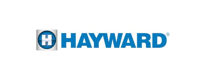 CHLORINATEUR HAYWARD
